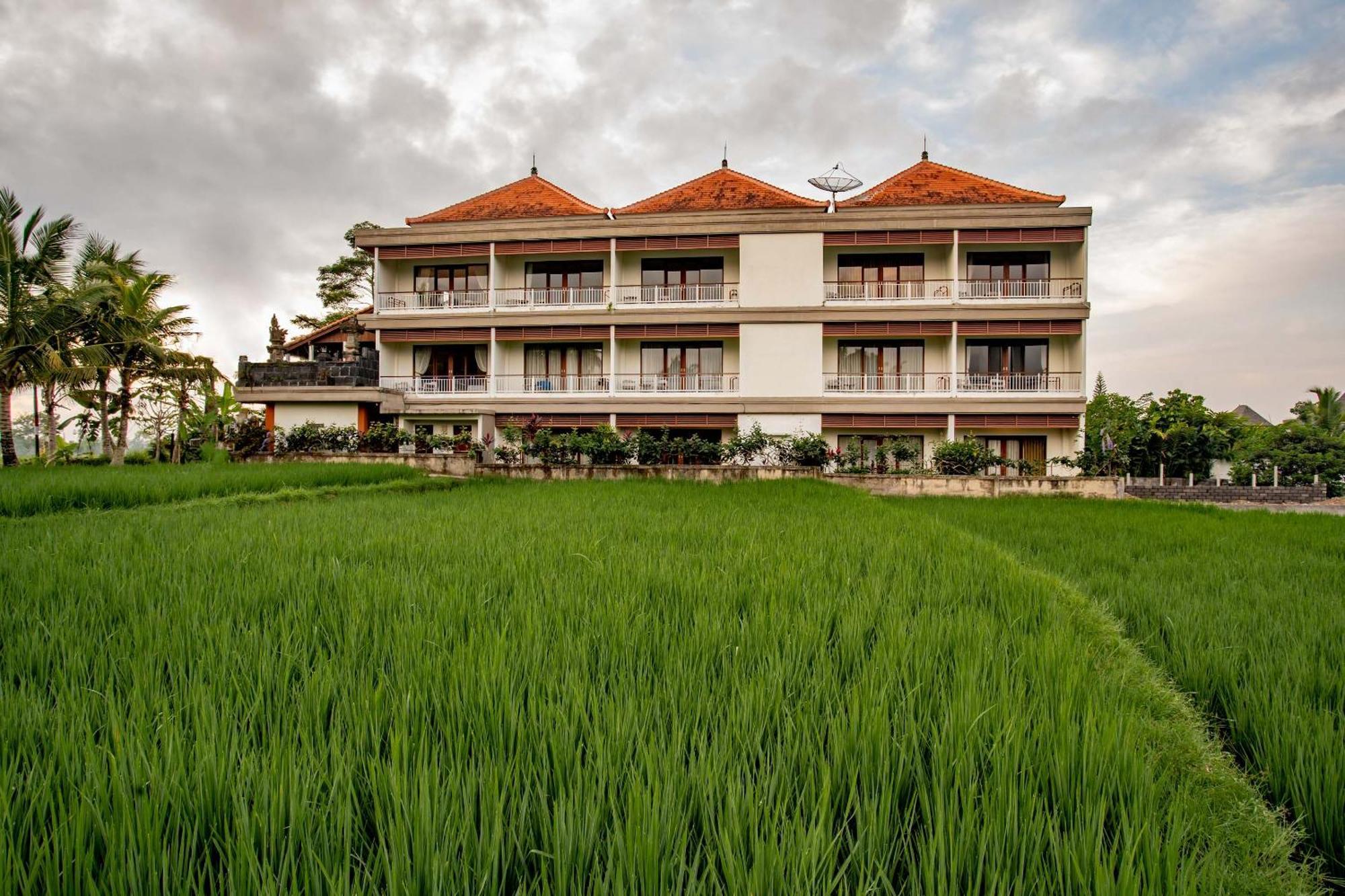 Paon Desa Ubud Εξωτερικό φωτογραφία